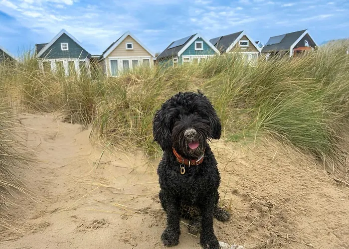 Katrins Nest - Close To The Beach And Independent Eateries On Southbourne Grove